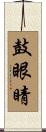 鼓眼睛 Scroll