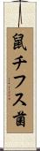 鼠チフス菌 Scroll