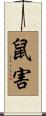 鼠害 Scroll