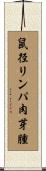 鼠径リンパ肉芽腫 Scroll