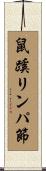 鼠蹊リンパ節 Scroll