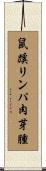 鼠蹊リンパ肉芽腫 Scroll