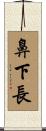 鼻下長 Scroll