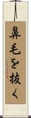 鼻毛を抜く Scroll