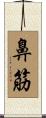 鼻筋 Scroll