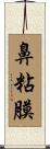 鼻粘膜 Scroll