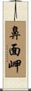 鼻面岬 Scroll