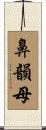 鼻韻母 Scroll