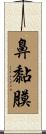 鼻黏膜 Scroll