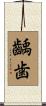 齲歯 Scroll