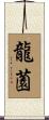 龍薗 Scroll