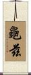 龜兹 Scroll