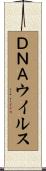 ＤＮＡウイルス Scroll
