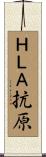 ＨＬＡ抗原 Scroll