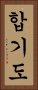 Aikido Vertical Portrait