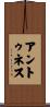Antunez Scroll