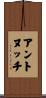 Antonucci Scroll