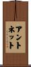 Antonette Scroll