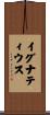 Ignatius Scroll