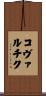 Kowalczyk Scroll