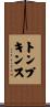 Tompkins Scroll