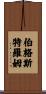 Bergstrom Scroll