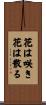 Flowers Bloom and Flowers Fall Scroll