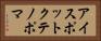 アイスポットクテノポマ Horizontal Portrait