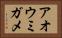 アオウミガメ Horizontal Portrait