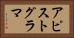 アピストグラマ Horizontal Portrait