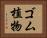 ゴム植物 Horizontal Portrait