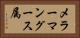 メラーマングース属 Horizontal Portrait