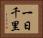 一日千里 Horizontal Portrait