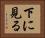 下に見る Horizontal Portrait