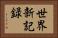 世界新記録 Horizontal Portrait
