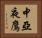 中亞夜鷹 Horizontal Portrait