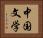 中国文学 Horizontal Portrait