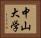 中山大学 Horizontal Portrait