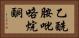 乙酰胺吡咯烷酮 Horizontal Portrait