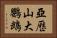 亞歷山大鸚鵡 Horizontal Portrait