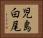 児島白尾 Horizontal Portrait