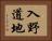 入野道地 Horizontal Portrait