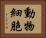 動物細胞 Horizontal Portrait