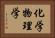 化学物理学 Horizontal Portrait