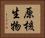 原核生物 Horizontal Portrait