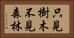 只見樹木不見森林 Horizontal Portrait