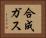 合成ガス Horizontal Portrait