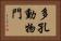 多孔動物門 Horizontal Portrait
