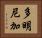 多明尼加 Horizontal Portrait