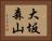 大坂森山 Horizontal Portrait